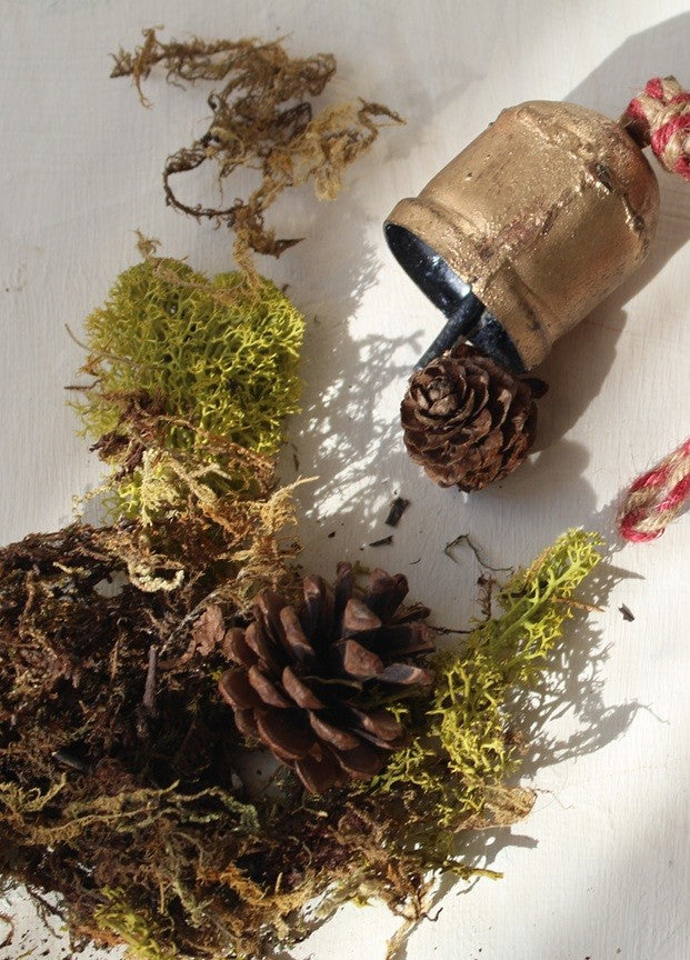 Little Forest Cypress + Moss.